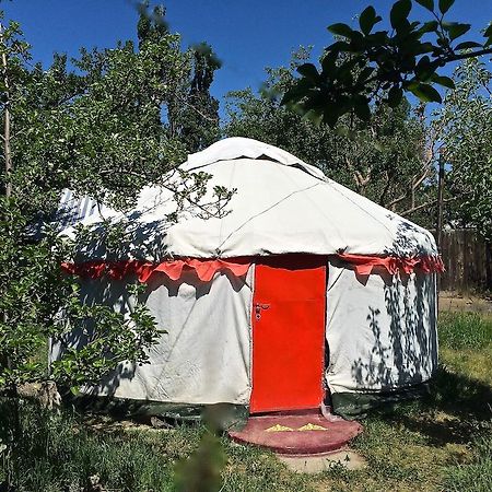 Hotel Arista Yurt Camp Karakol Zimmer foto